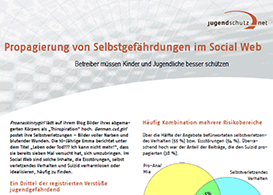 Themenpapier: Propagierung von Selbstgefährdungen im Social Web