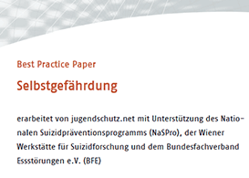 Best Practice Paper: Selbstgefährdung