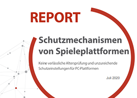 Report: Schutzmechanismen von Spieleplattformen