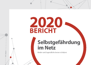 Bericht 2020 Selbstgefaehrdung Im Netz